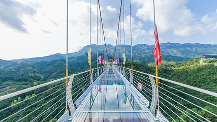 柃蜜小镇·白崖山景区第 27 张图片