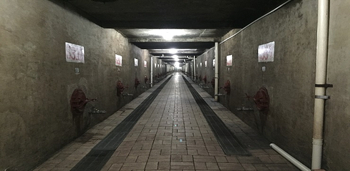 中国长城葡萄酒工业旅游区第 20 张图片