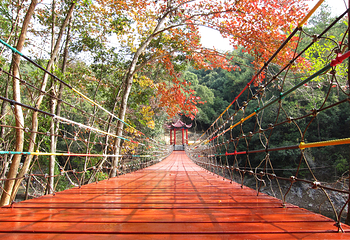 赣州阳明湖景区第 28 张图片