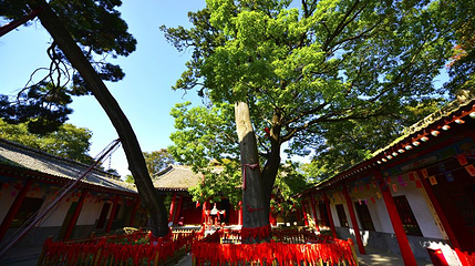 少华山国家森林公园-潜龙寺第 1 张图片