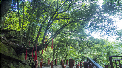 汉江源景区第 32 张图片