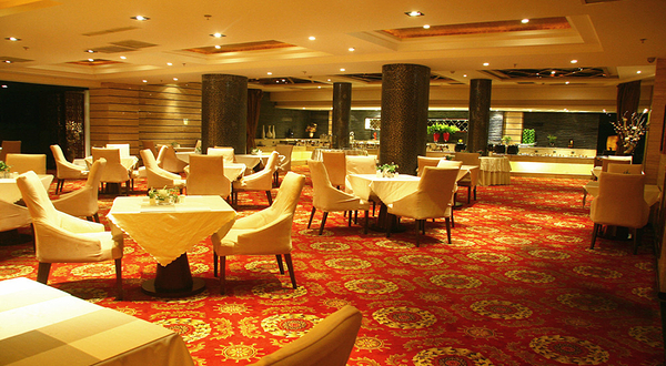 葫芦岛维景大酒店