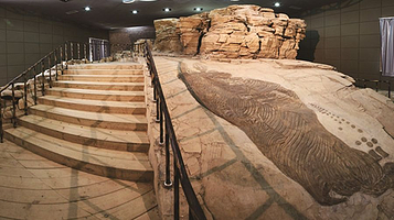 关岭化石群国家地质公园