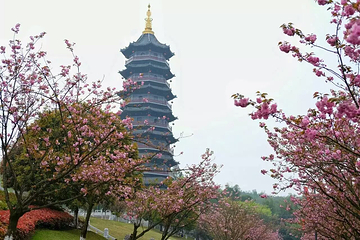 重庆园博园第 21 张图片