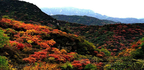 白银坨旅游风景区第 16 张图片