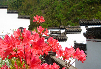 神龙川风景区第 43 张图片
