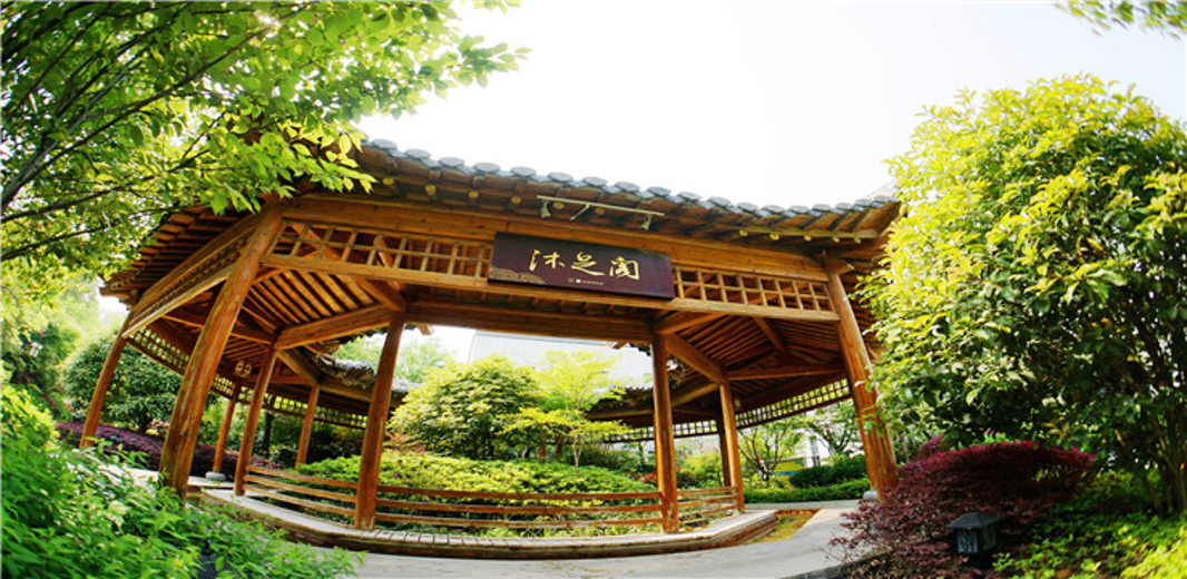 巢湖半汤御泉庄温泉(快速入园) 小猪猪 景点门票预订