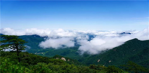 大别山主峰景区白马尖第 10 张图片