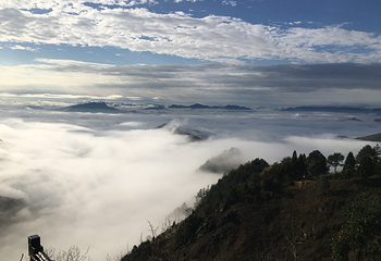 天目山自然保护区第 48 张图片