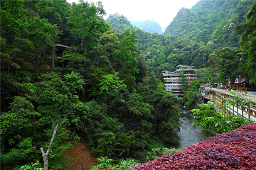 龙胜温泉第 23 张图片
