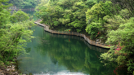 金刚台(西河)生态旅游区第 18 张图片