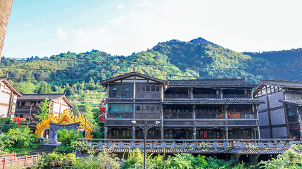 金佛山第 56 张图片