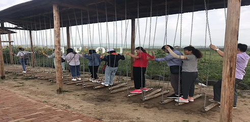 草原神画第 30 张图片