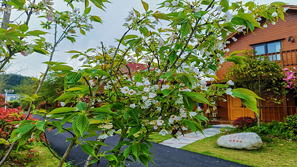 柃蜜小镇·白崖山景区第 44 张图片