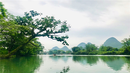 遇龙河景区第 36 张图片