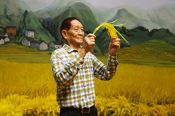 广州塔第 256 张图片