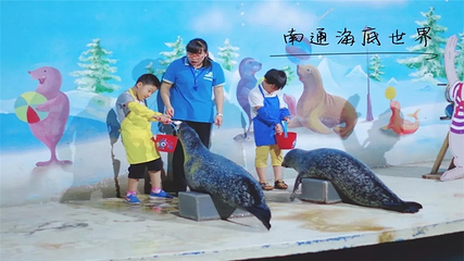 南通海底世界第 13 张图片