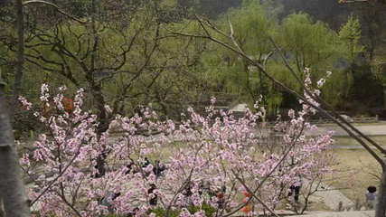 佛光山第 13 张图片
