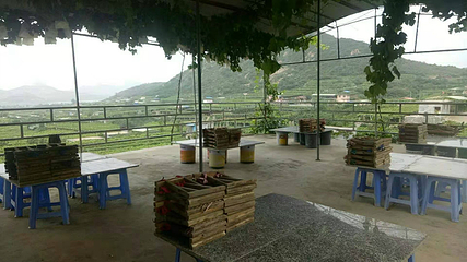 大泽山第 3 张图片
