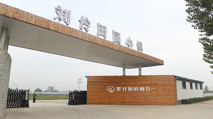 刘伶田园小镇第 1 张图片