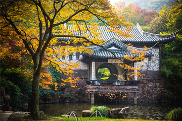 惠山古镇·寄畅园第 14 张图片