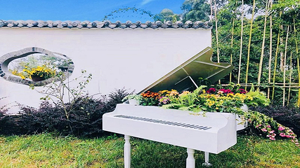都江堰·玫瑰花溪谷第 44 张图片