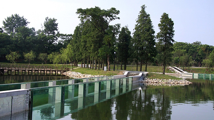 鄱阳湖国家湿地公园第 34 张图片