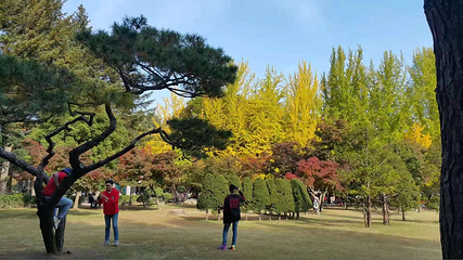南怡岛第 65 张图片