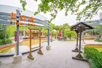 金凤凰温泉度假村第 14 张图片