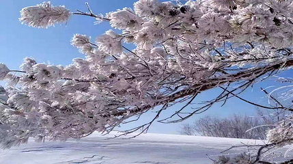 长白山仙峰雪岭景区第 47 张图片