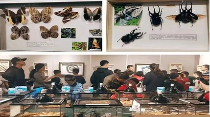 渭南植物园第 16 张图片