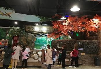 桐语小镇儿童职业体验乐园(中山汇丰城店)第 22 张图片