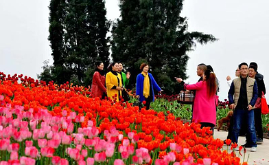 花舞人间第 100 张图片