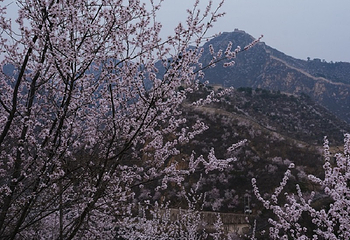 黄花城水长城第 39 张图片