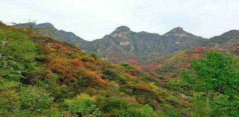 白银坨旅游风景区第 14 张图片