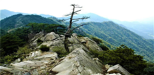 大别山主峰景区白马尖第 28 张图片