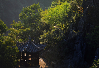 千岛湖石林景区第 50 张图片