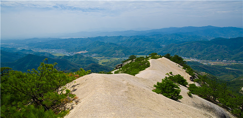 龙须山景区第 21 张图片