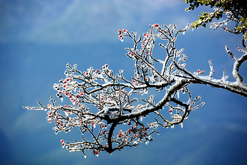 清远金子山原生态旅游风景区第 75 张图片