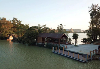 星湖湿地公园第 8 张图片