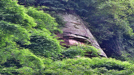川西竹海景区第 43 张图片