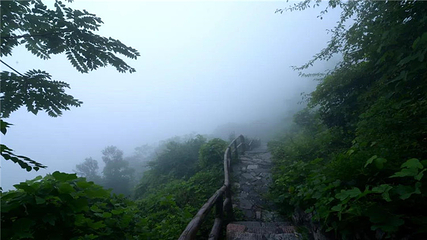 王母山第 145 张图片