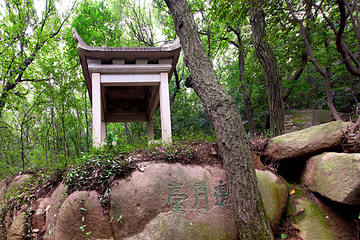 苏州花山自然风景区第 24 张图片