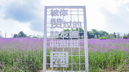 横山花仙谷第 77 张图片
