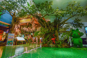 正佳雨林生态植物园