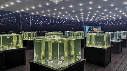 邯郸海洋世界第 9 张图片