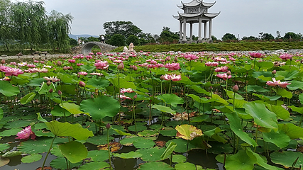 回龙湾风景区第 17 张图片