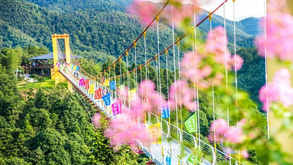 柃蜜小镇·白崖山景区第 11 张图片