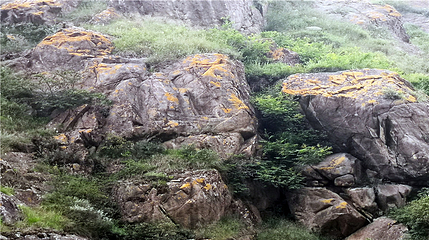 李家峡生态旅游景区第 12 张图片