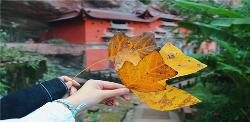 齐云山景区第 171 张图片